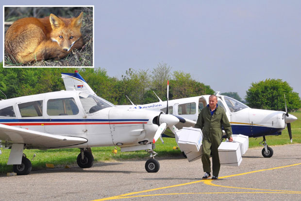 С неба лек против беснила